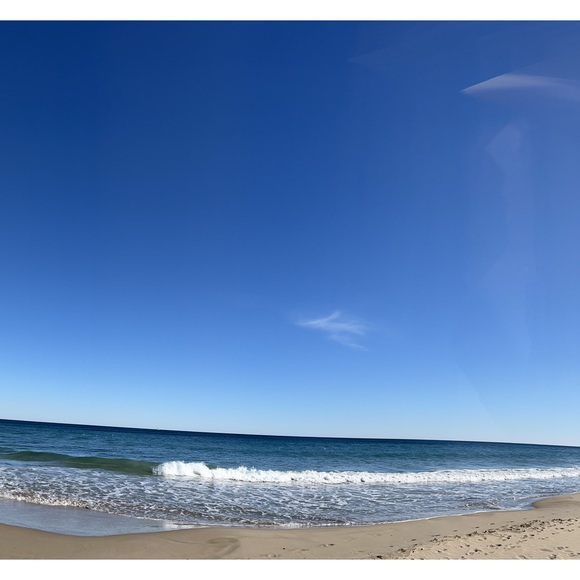 Meet your Posher, Maple - Picture 2 of 4